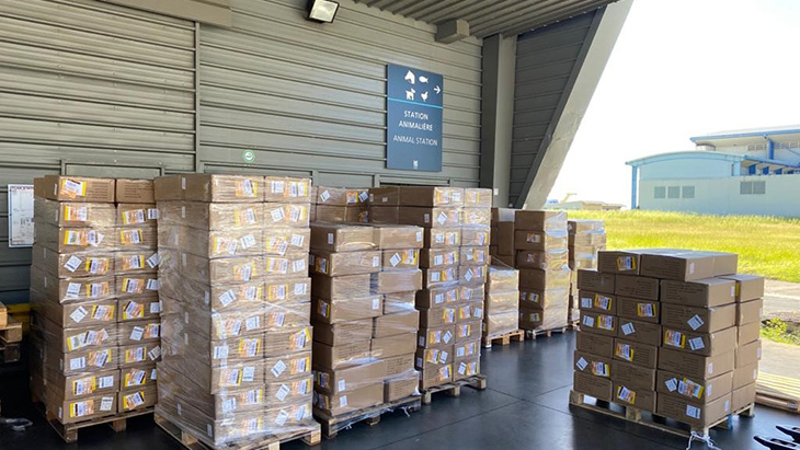 Boites de masques entreposés dans un local à la Réunion