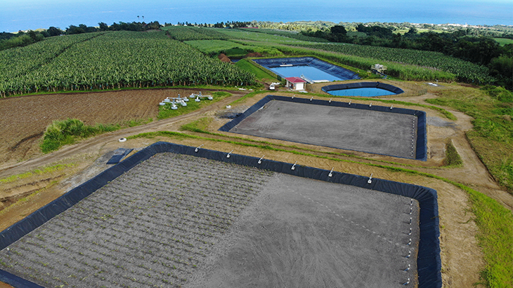 Treatment and reclamation of distillery waste water