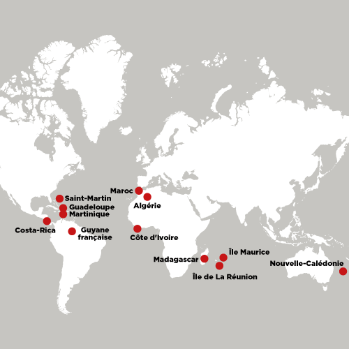 Carte distribution automobile