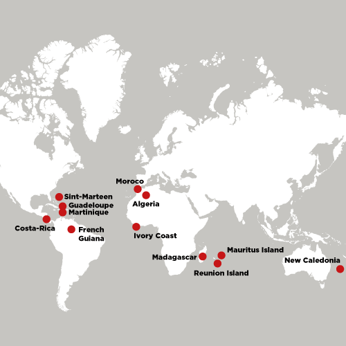 Automotive distribution map